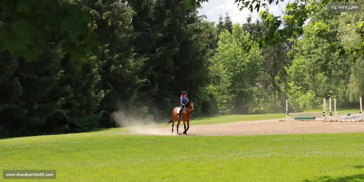 <strong>J9.COM</strong>🚴速度与激情，风里有自由的声音！